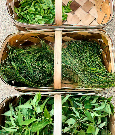 Herb Baskets