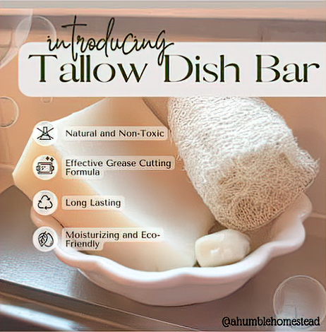 Tallow Dish Bar